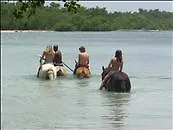 Rhodes Resort Jamaica Hanover